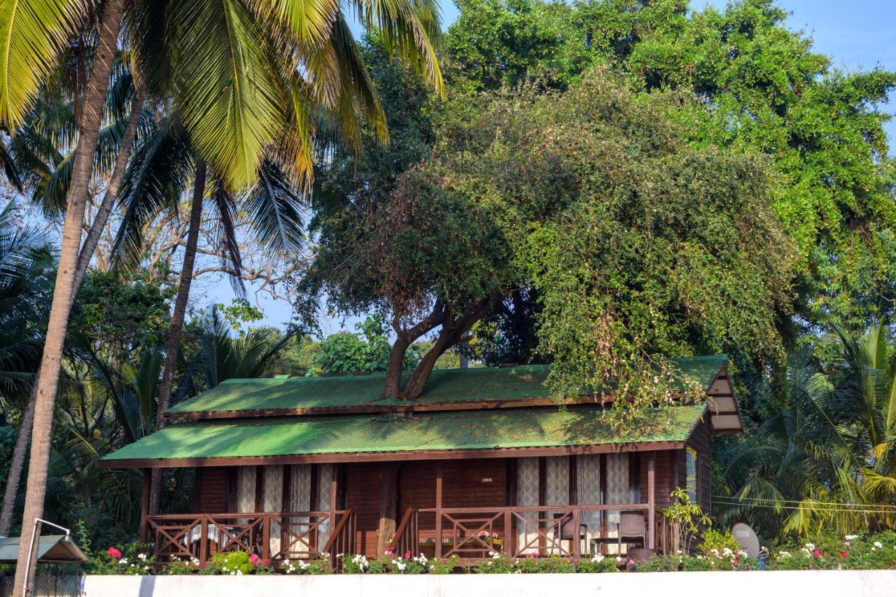 Saffronstays Little Paradise, Murud Exteriör bild